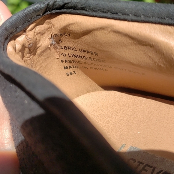 Steve Madden Gracy black suede platform sneakers - Picture 9 of 13